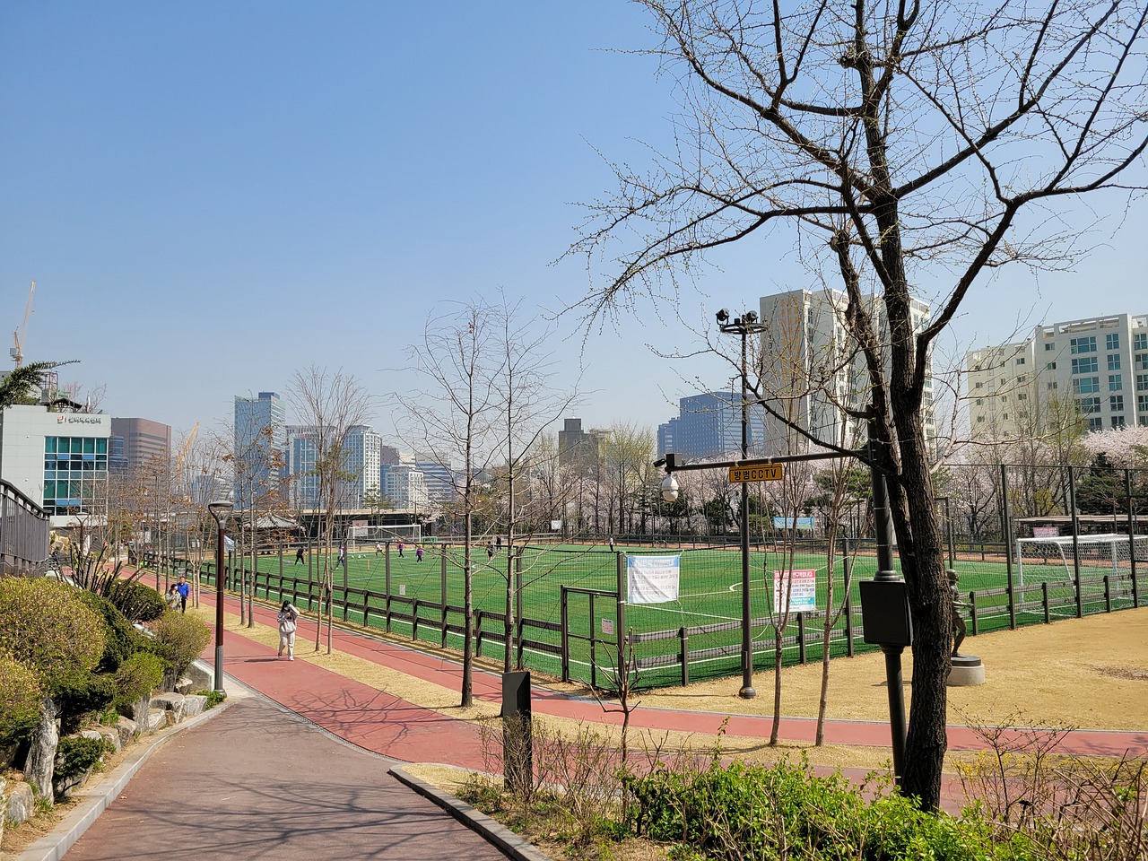 级的新秀 级的新秀