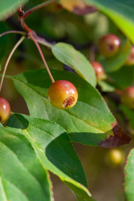 一位被寄予 一位被寄予