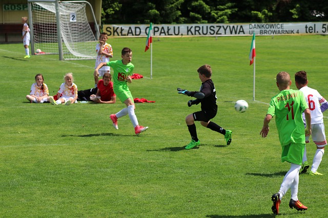 心的传导寻 心的传导寻