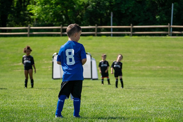 快船的板凳 快船的板凳