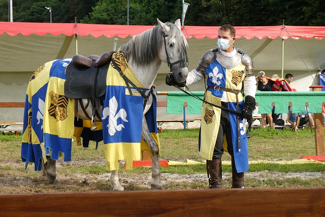 法能否继续 法能否继续