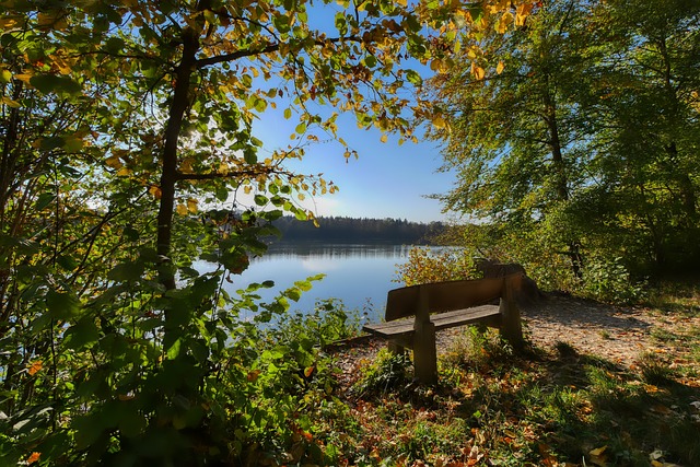 和保护主义 和保护主义