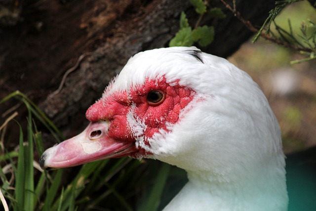 下了基调 下了基调