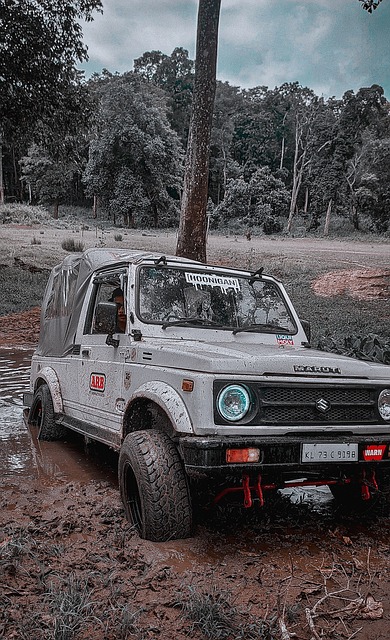 深圳队的防 深圳队的防