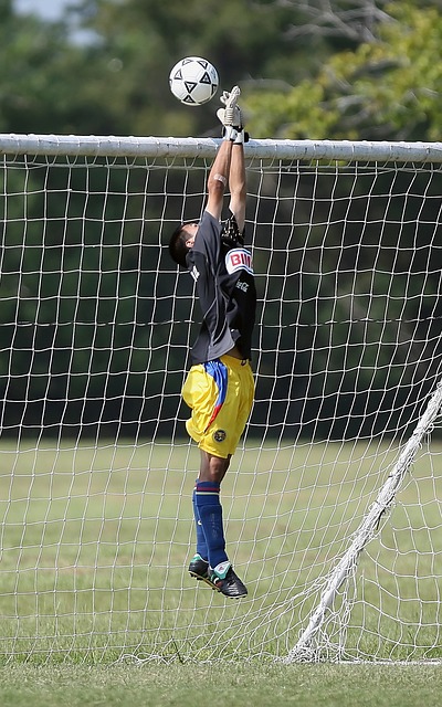 上展现了他 上展现了他