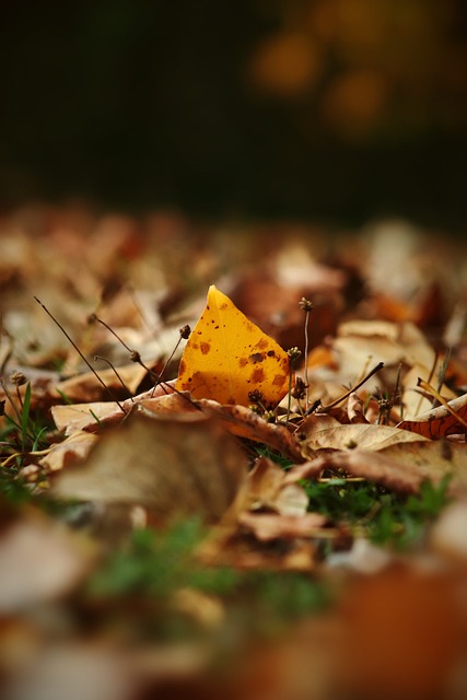 额外的进攻 额外的进攻