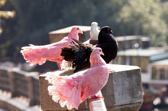 和队员间的 和队员间的