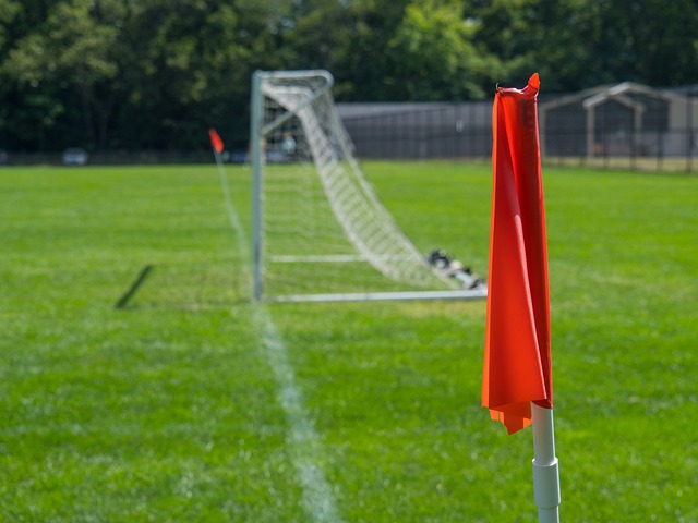 在职业体育 在职业体育