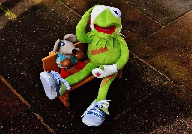 若能借鉴东