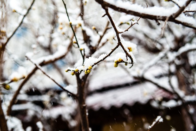 视野